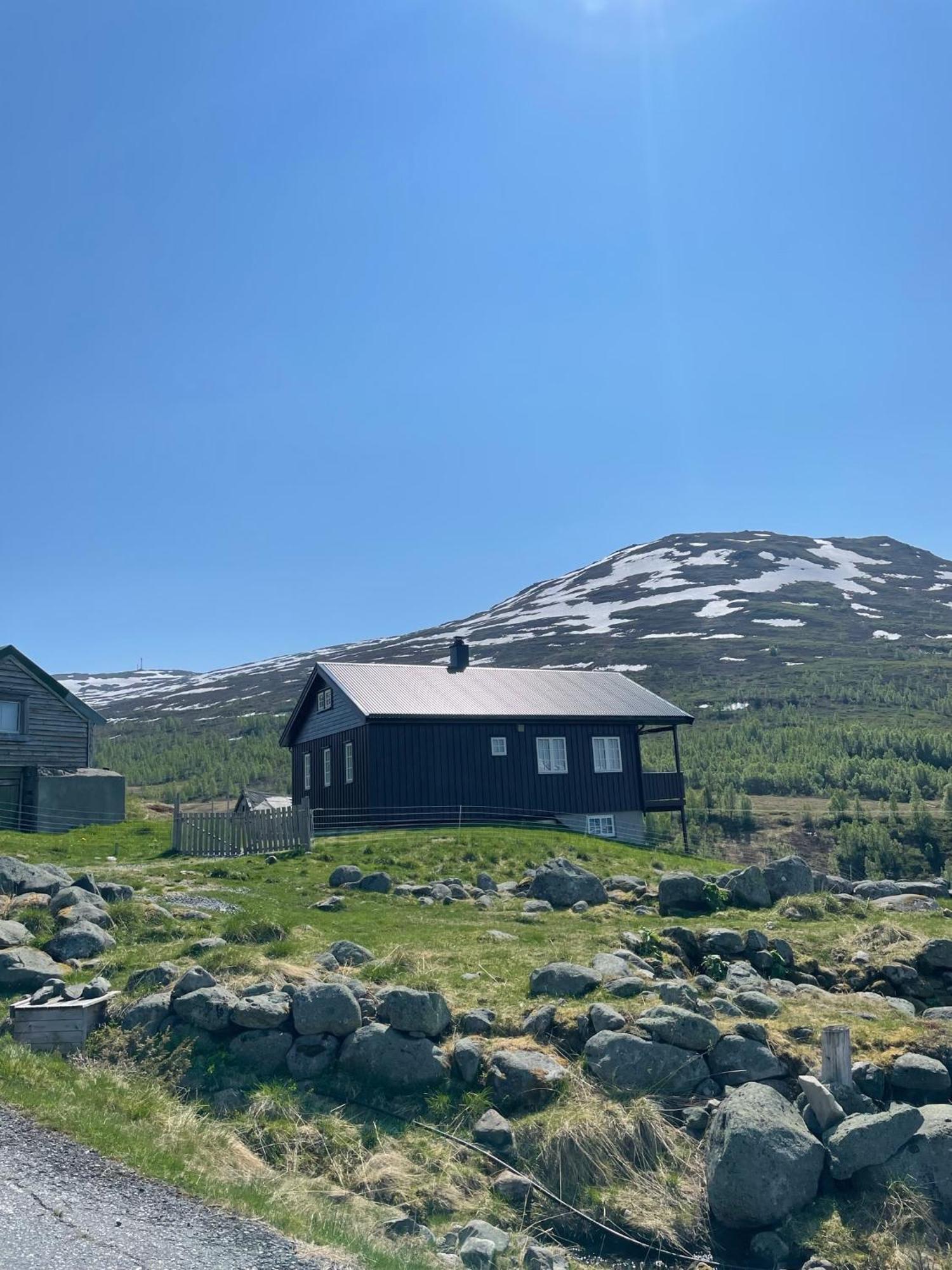 Bjorgo Gard - Stegastein * Aurland