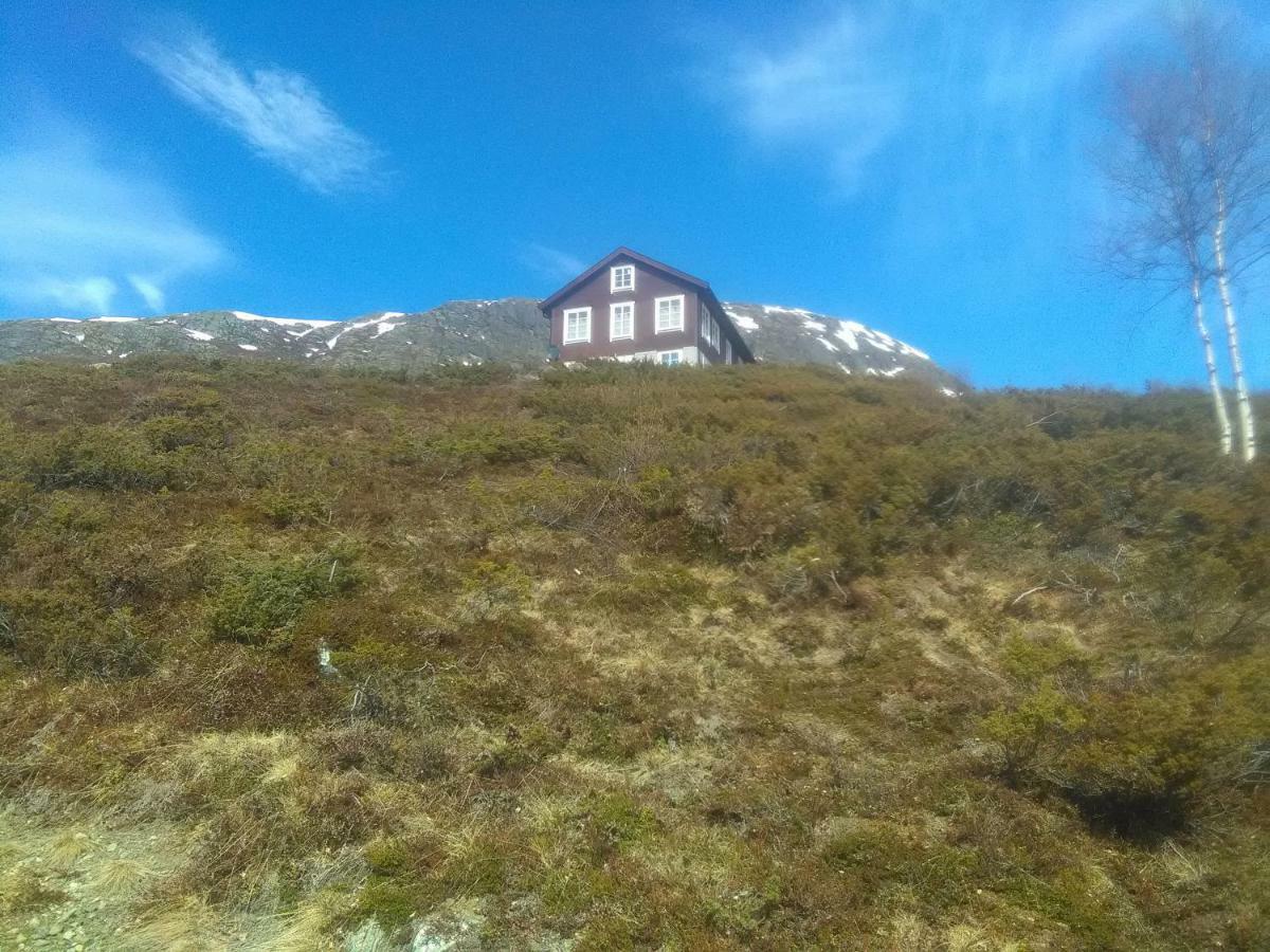 Bjorgo Gard - Stegastein * Aurland