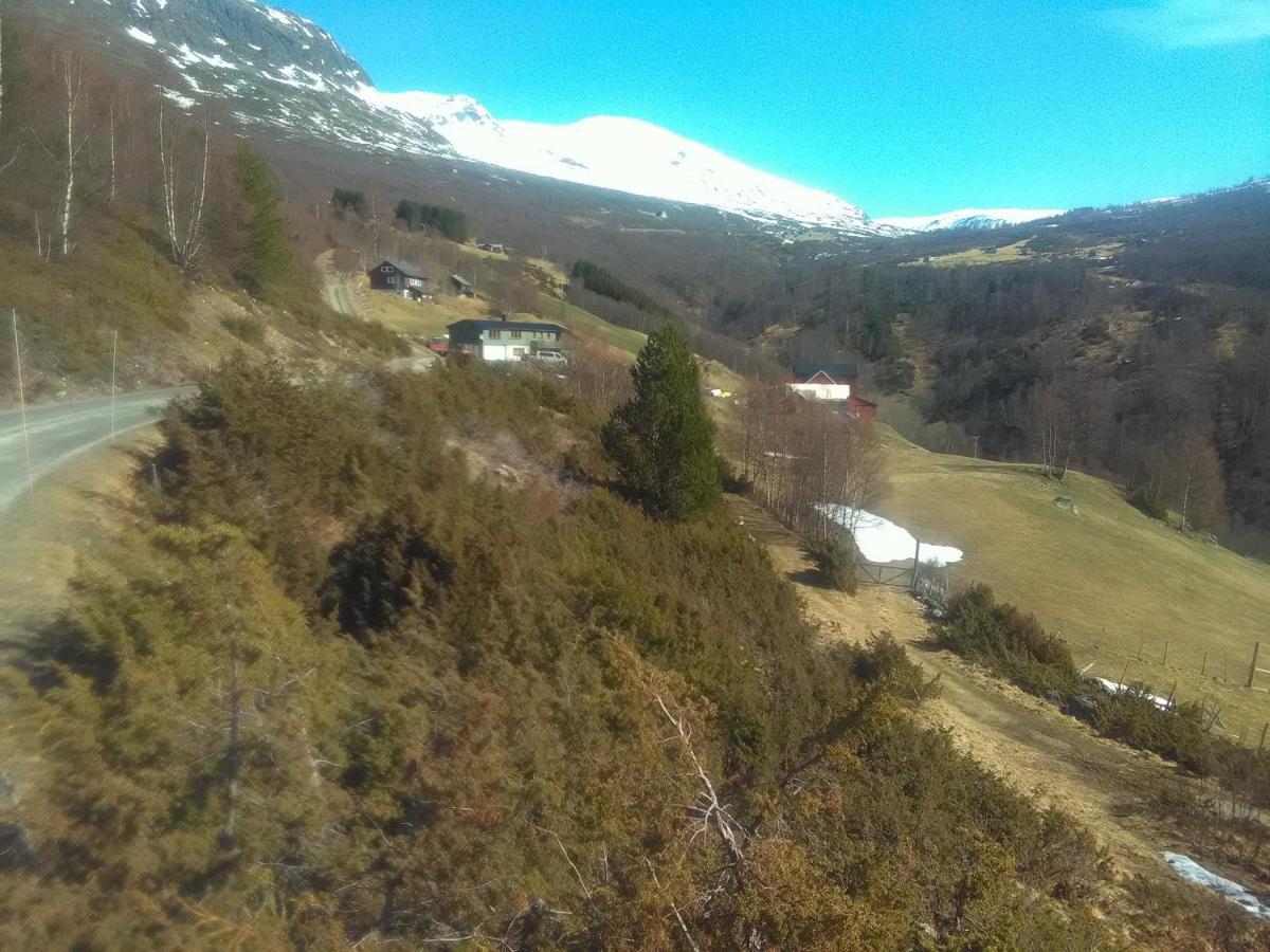 Bjorgo Gard - Stegastein * Aurland