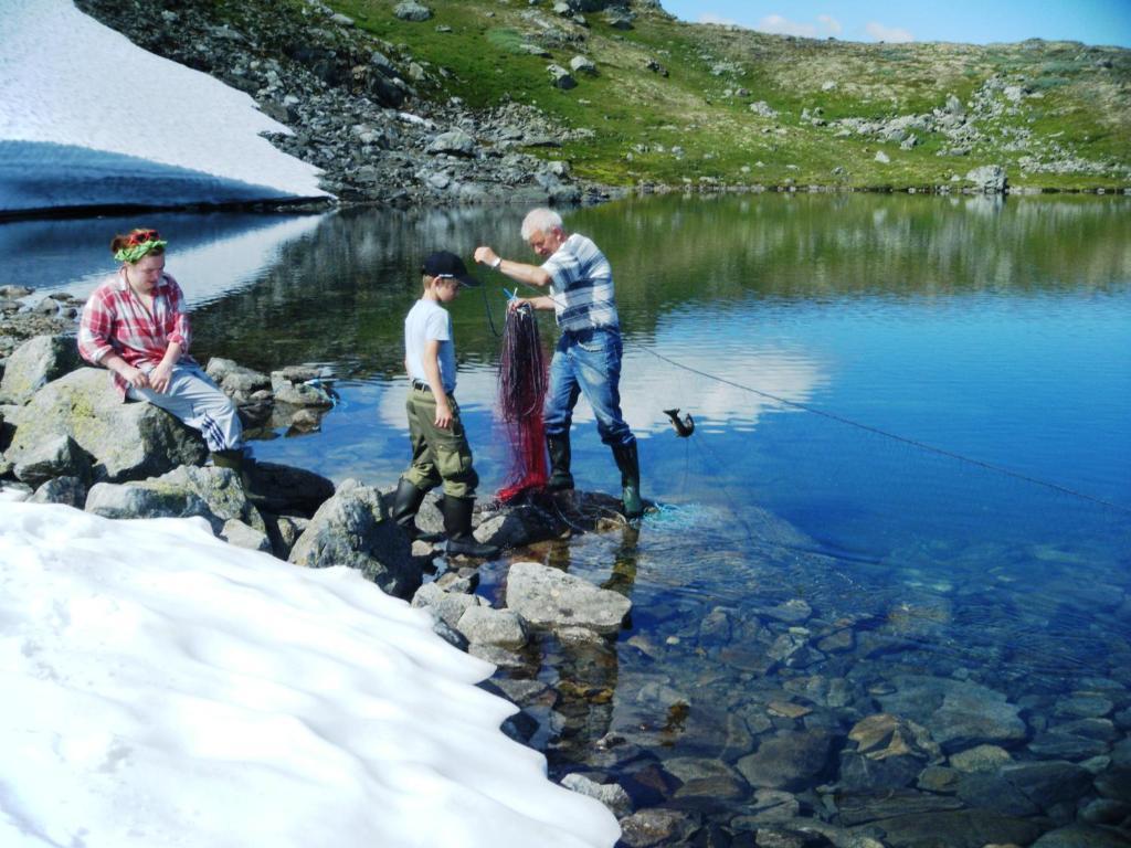 Bjorgo Gard - Stegastein * Aurland