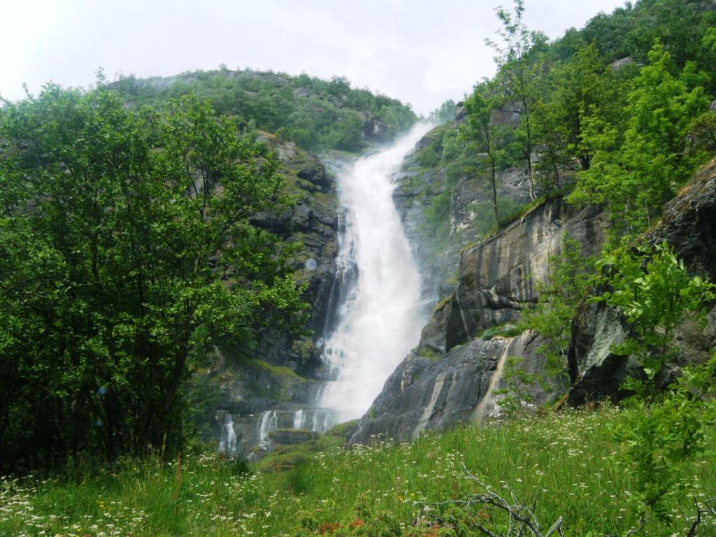 Bjorgo Gard - Stegastein Aurland